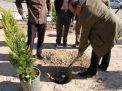 گزارش تصویری مراسم روز درخت کاری و تقدیر از نیروهای باغبانی دانشگاه